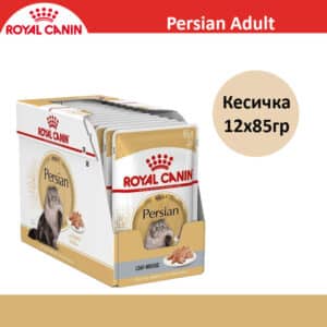 Royal Canin Persian Adult Влажна храна за Персиски мачки со Парчиња месо во сос [12x Кесичка 85гр]